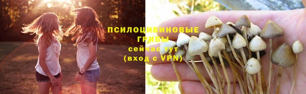 spice Алексин