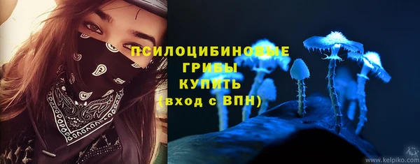 spice Алексин