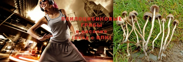 спайс Кукмор