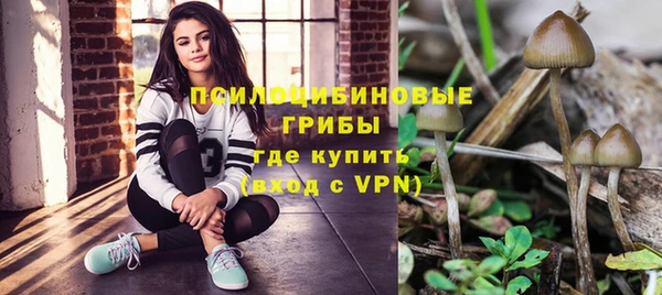 spice Алексин