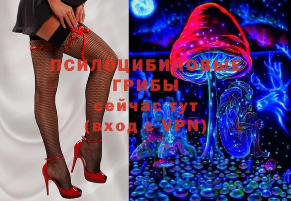 амф Алзамай