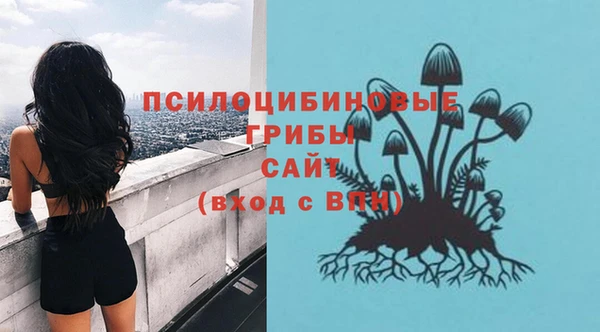 амф Алзамай